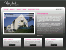 Tablet Screenshot of cj-immobilier.fr